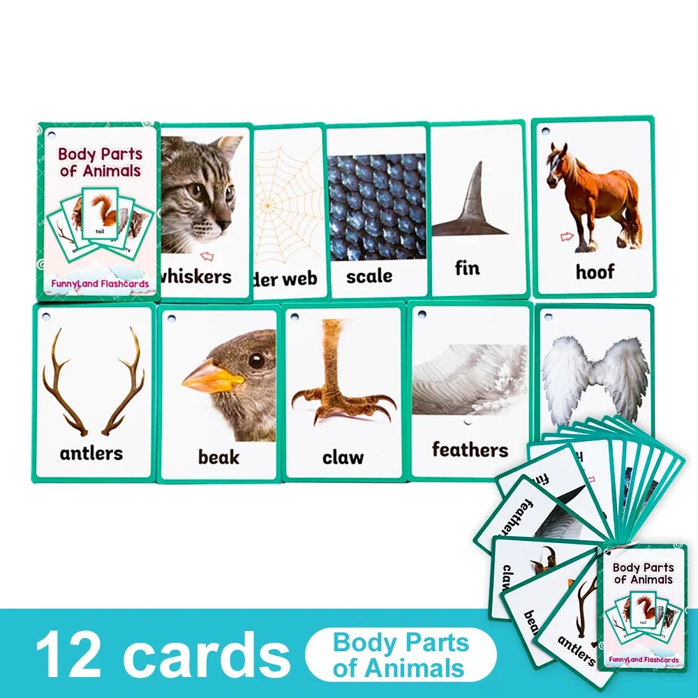 Kids English Vocabulary Flashcards - 26 Themes Fruits Animals Vehicles & Learning Activity Cards