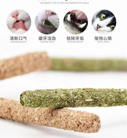6pcs Natural Matatabi Cat Sticks - Silvervine Chew Toys for Teeth Cleaning, Mint Treats & Pet Playtime