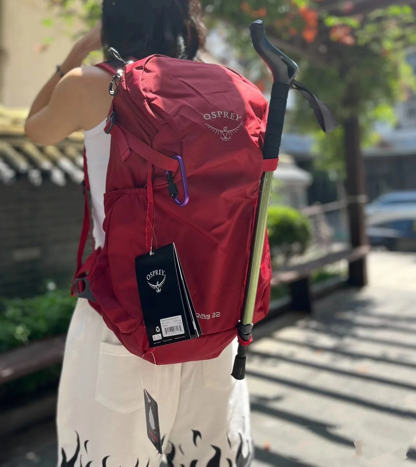Osprey Professional Outdoor Backpack - Beetle Kitty 22L & 30L Hiking & Camping Bag for Men & Women, Waterproof