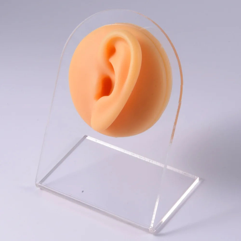 Soft Silicone 1:1 Simulation Body Piercing Practice Model – Ear, Nose, Navel & Nipple Display Stand for Jewelry Training & Teaching Accessories