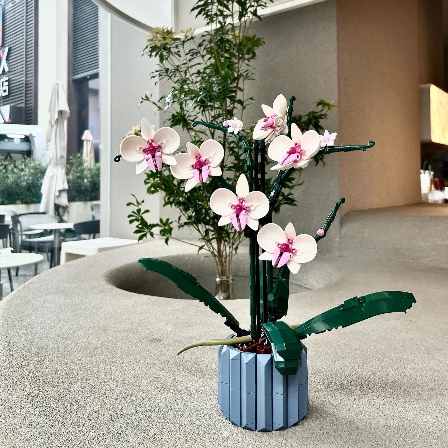Building Block Orchid Flower Set – Assembled Plastic Potted Plant Toy Compatible with LEGO Bricks, Home Decor Gift for Girls