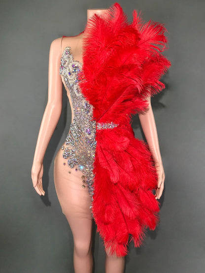 Sparkly Rhinestone Mesh Velvet Feather Mini Dress - Sleeveless Birthday & Dance Performance Costume