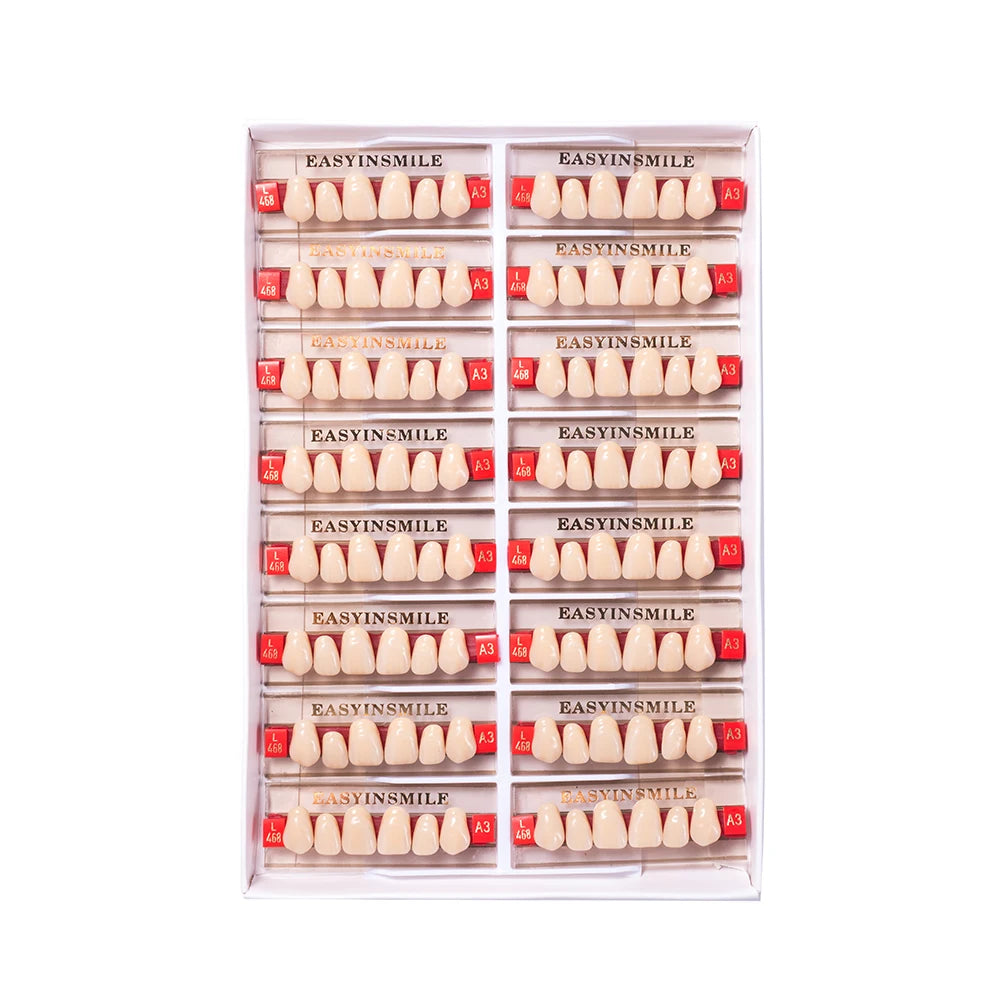 16/12 Set Dental Denture Teeth Model Kit, Upper & Lower Anterior Synthetic Polymer Teeth A2 A3 for Dental Education & Training
