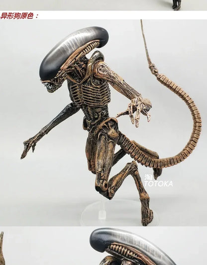 NECA Xenomorph Alien vs. Predator Action Figure — Fully Articulated Collectible with Movable Joints, Cool Toy & Gift