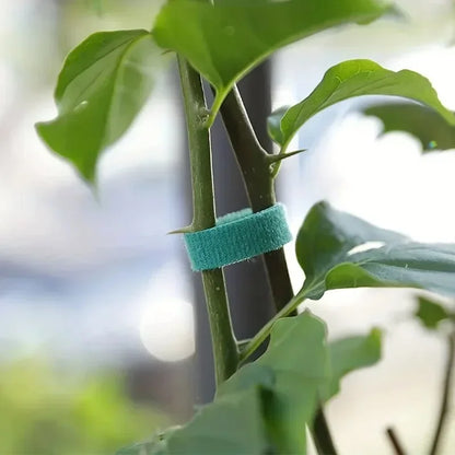 Reusable Self-Adhesive Plant Ties | Adjustable Green Nylon Garden Tape Strips for Plant Support