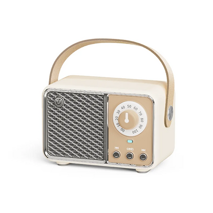 Wireless Portable Bluetooth Speaker — Mini Subwoofer Music Box with Hands-Free Function