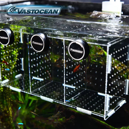 Magnetic Acrylic Fish Breeding & Isolation Box, Aquarium Hatchery Tank Divider with Combined Design for Safe Fish Separation & Care