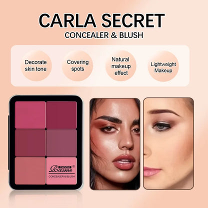 12-Color Concealer & Blush Palette - Matte Highlight Contour Makeup Kit