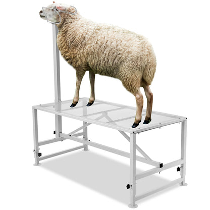 VEVOR Adjustable Goat & Sheep Milking Stand — 51x23 in Metal Livestock Shearing & Milking Platform, 21"-33" Height, White