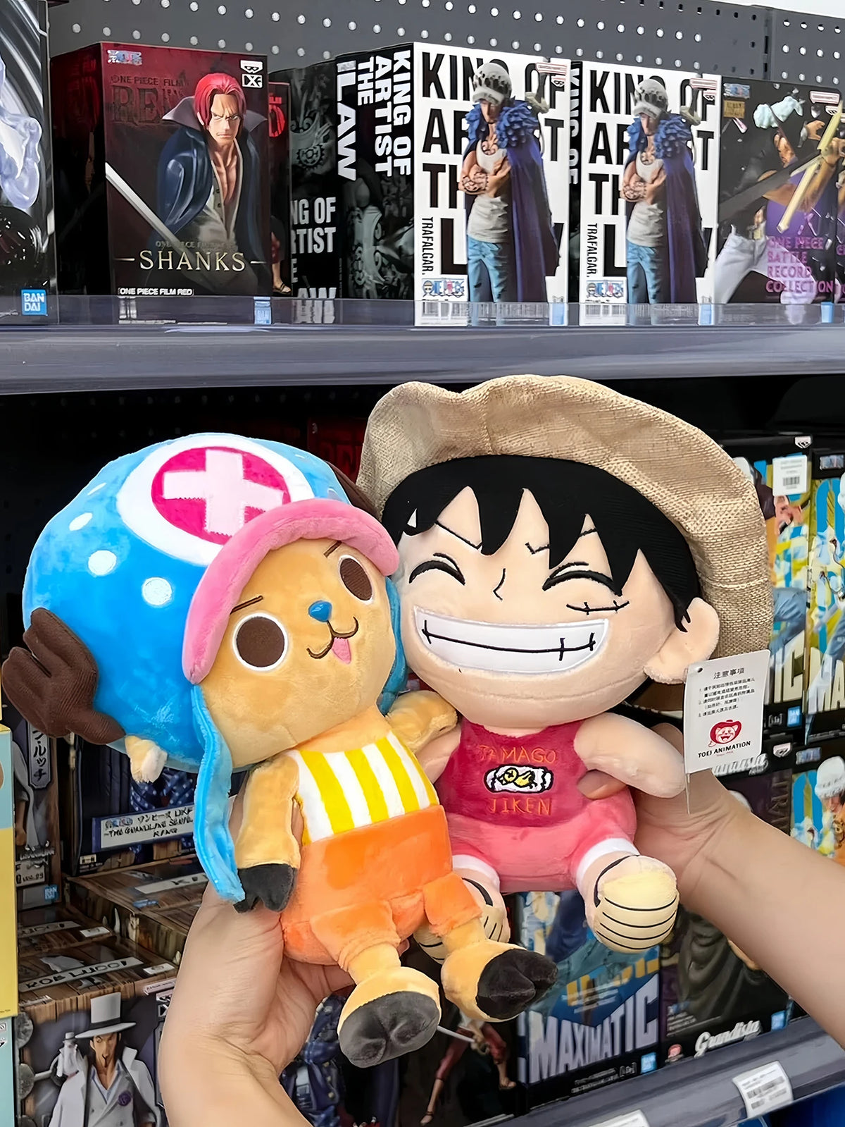 25CM One Piece Anime Plush Toys - Luffy, Chopper, Ace and Zoro Cute Stuffed Character Dolls for Fans and Gifts