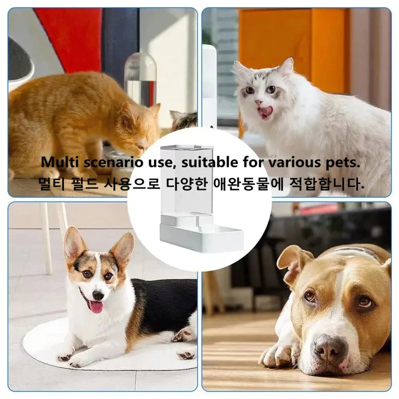 Transparent Automatic Pet Feeder – Food Storage Container & Water Bowl for Cats and Dogs