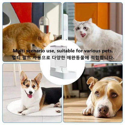 Transparent Automatic Pet Feeder – Food Storage Container & Water Bowl for Cats and Dogs