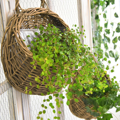 Wall Mount Rattan Flower Basket - Woven Hanging Planter Vase for Garden, Balcony & Home Decor