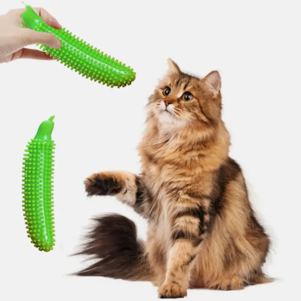 Cucumber-Shaped Dog Chew Toy - Bite-Resistant TPE Molar Stick for Teeth Cleaning & Grinding