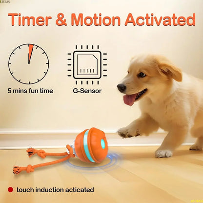 Peppy Pet Ball for Dogs – Motion-Activated Rolling Ball, Interactive Toy for Puppies & Small Dogs, Automatic Moving Dog Toy