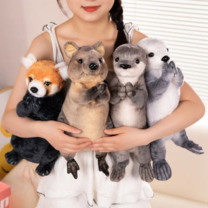 Blessing Animal Plush Toys — Red Panda, Sea Otter, Kangaroo & Otter Stuffed Gifts