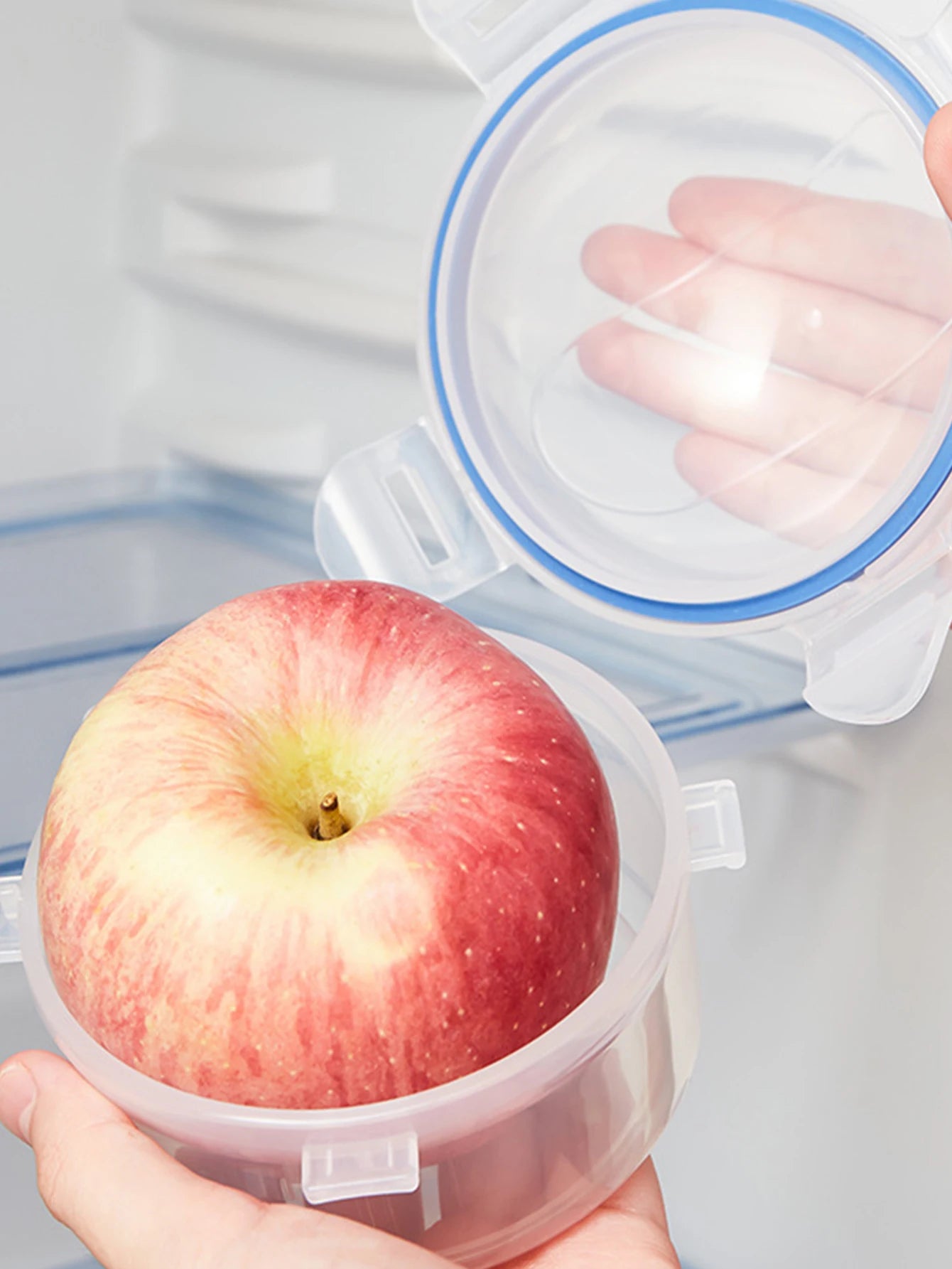 Fruit & Apple Preservation Box with Lid - Sealed Household Storage for Onion, Microwave Rice Heating Box