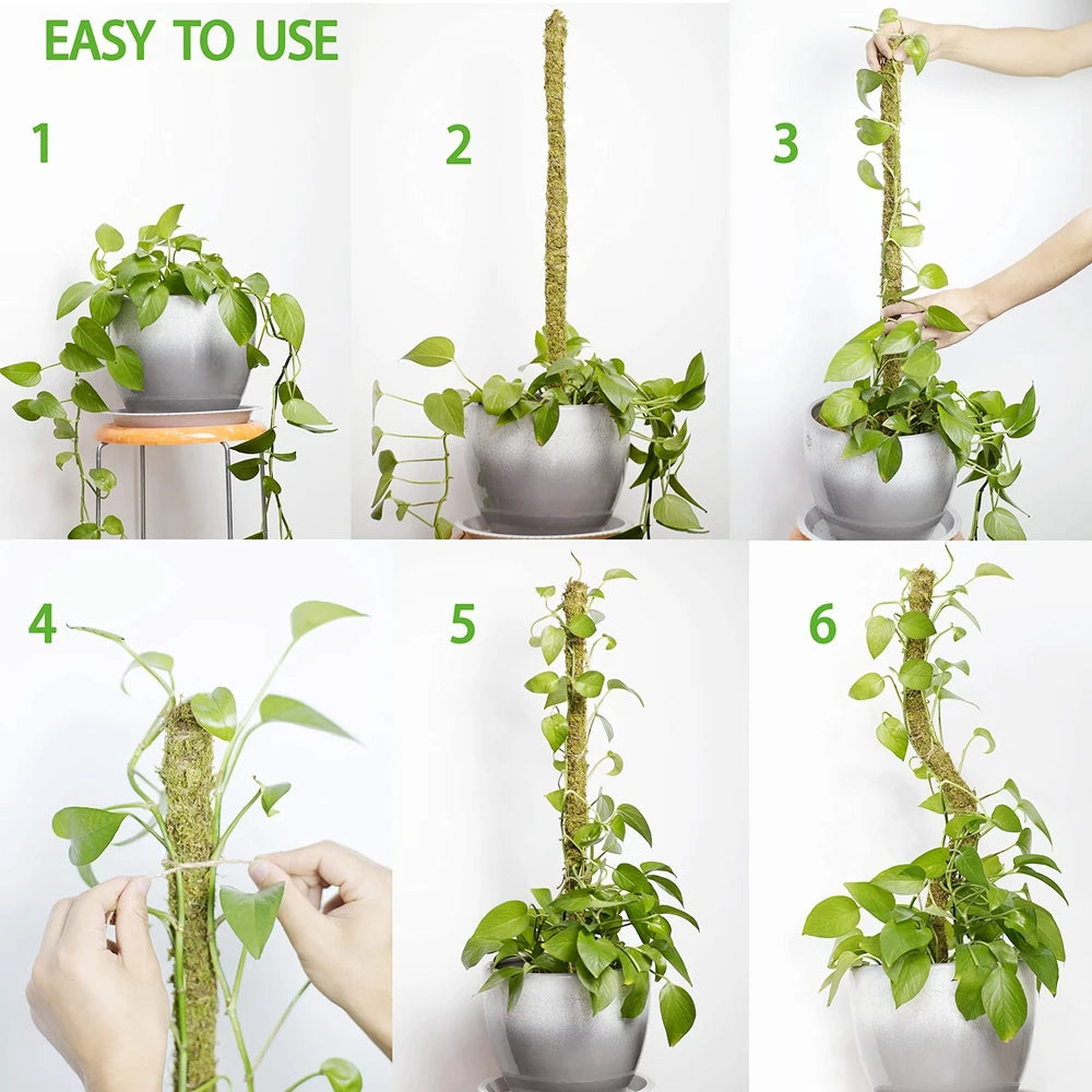 1PC Handmade Bendable Moss Pole for Monstera and Indoor Plants - Real Moss Plant Stakes for Climbing Support