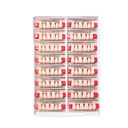 16/12 Set Dental Denture Teeth Model Kit, Upper & Lower Anterior Synthetic Polymer Teeth A2 A3 for Dental Education & Training