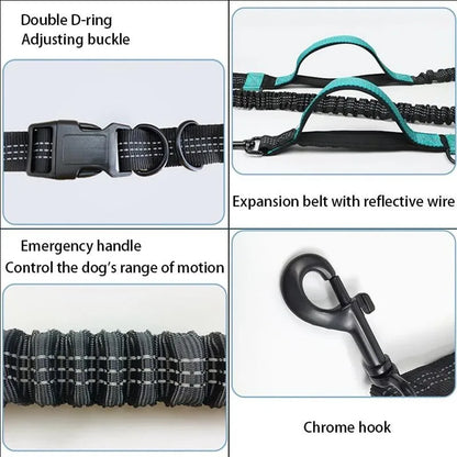 Retractable Hands-Free Dog Leash for Running | Double Handles | Elastic Cord | Reflective | Large Dog Leash | Pet Supplies