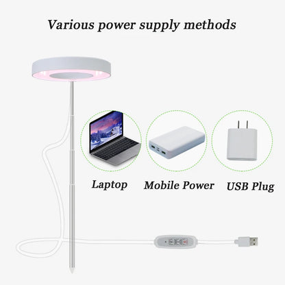 Full Spectrum Indoor Solar LED Growth Light - Four Gear Dimming for Fleshy Plants, Flower & Floor Telescopic Fill Light