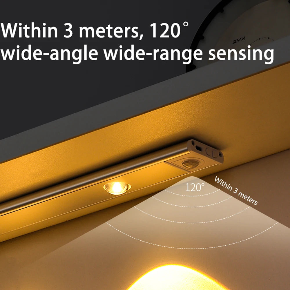 PZSUNLY USB Rechargeable Motion Sensor LED Cabinet Light - Kitchen Wardrobe Lighting in Various Sizes: 20cm/30cm/40cm/60cm/80cm