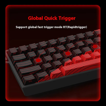 MadCatz MAD60/MAD68 HE 8K Magnetic Switch Gaming Keyboard – 60%/68% Wired RGB Mechanical Keyboard with Rapid Trigger & Custom Keys