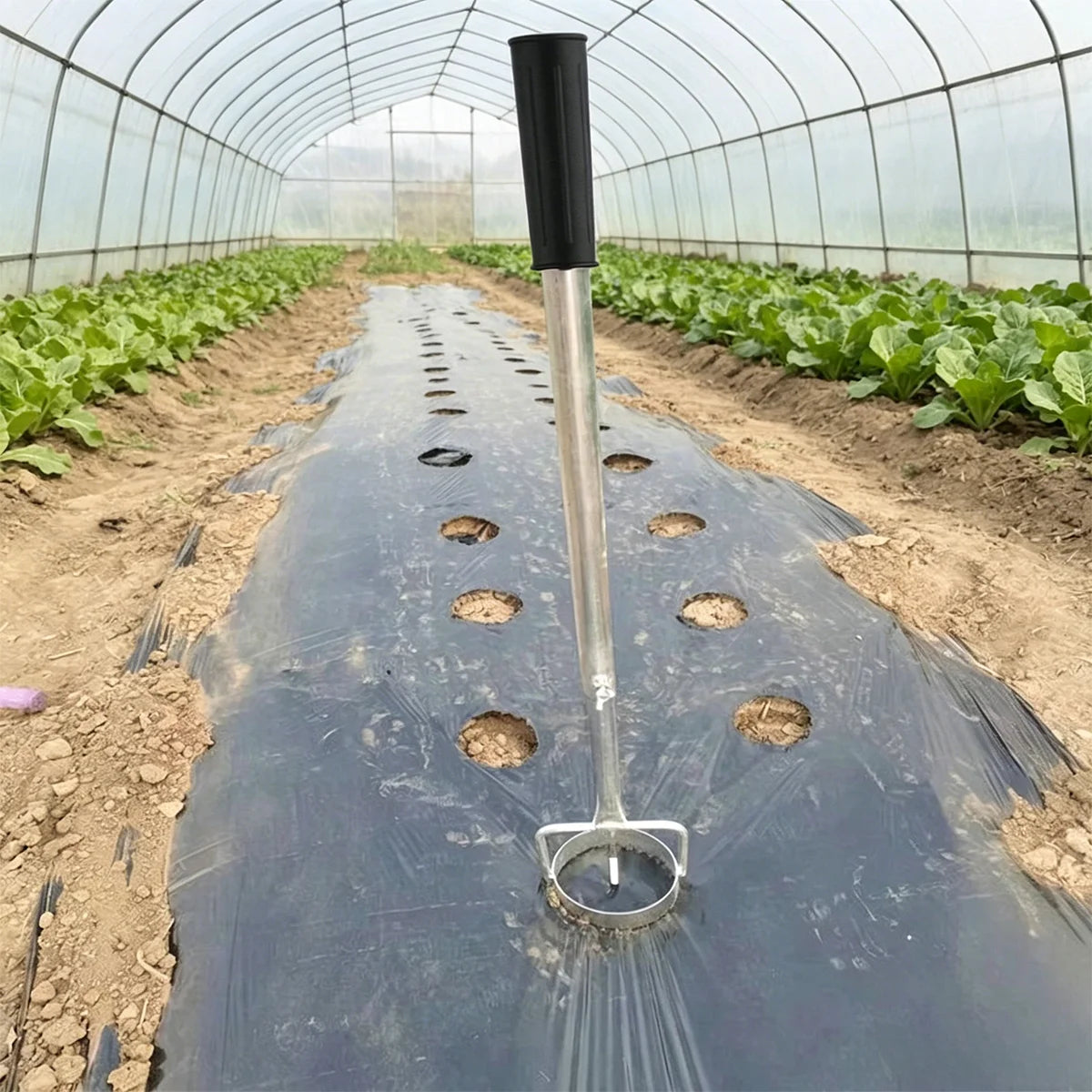 Plastic Film Perforator Tool - Telescopic Punch for Garden, Horticulture & Agricultural Planting