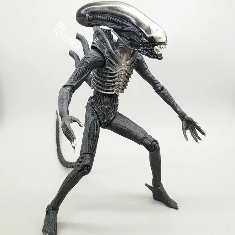 NECA Xenomorph Alien vs. Predator Action Figure — Fully Articulated Collectible with Movable Joints, Cool Toy & Gift