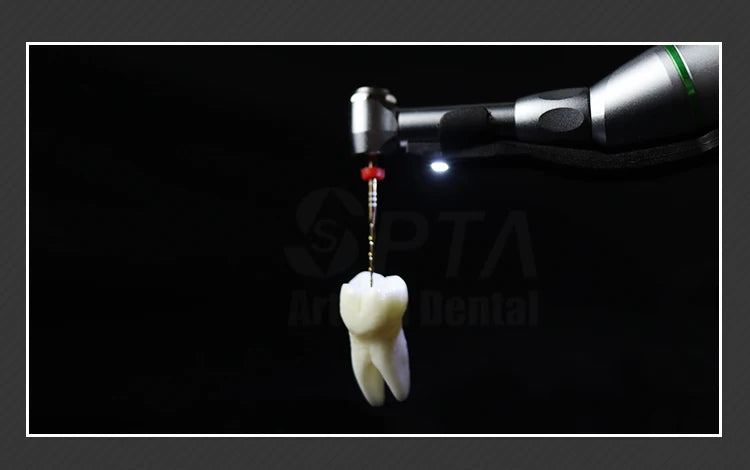 SPTA Cordless Dental Endo Motor – LED 16:1 Contra Angle with Reduction Head for Low-Speed Endodontic Treatment
