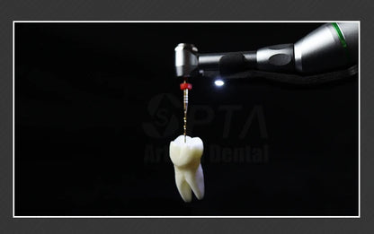 SPTA Cordless Dental Endo Motor – LED 16:1 Contra Angle with Reduction Head for Low-Speed Endodontic Treatment