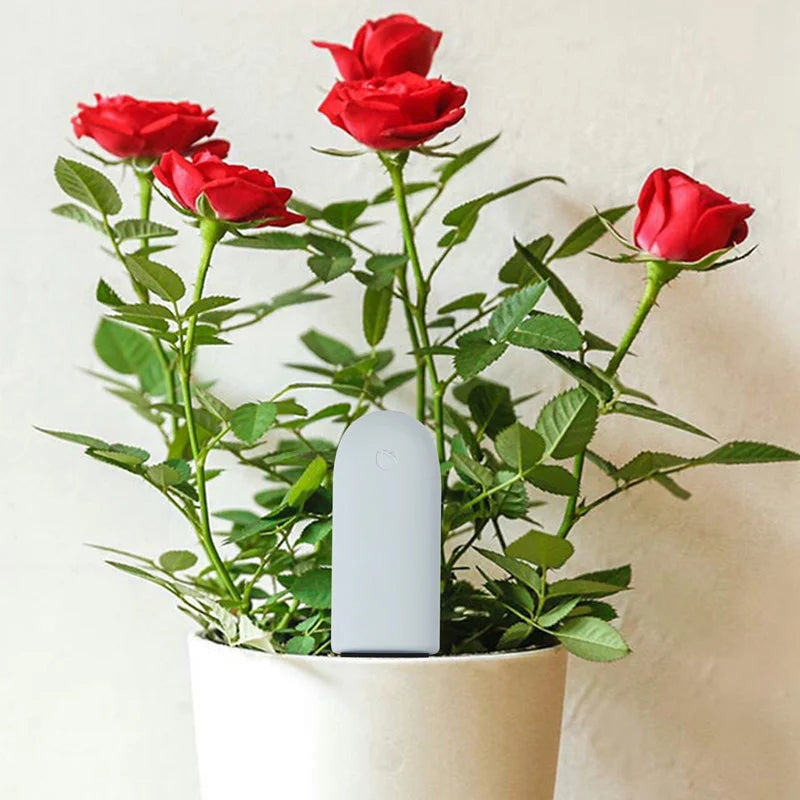 HHCC Smart Flower & Flora Monitor - Garden Care Plant Soil Water Fertility Sensor for Xiaomi Mijia