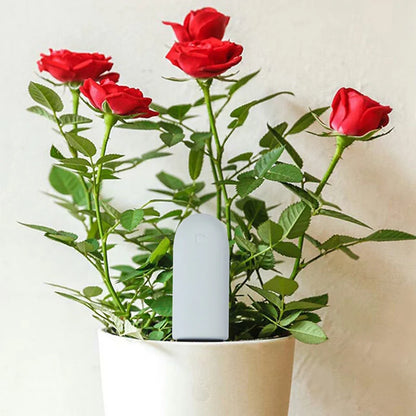 HHCC Smart Flower & Flora Monitor - Garden Care Plant Soil Water Fertility Sensor for Xiaomi Mijia