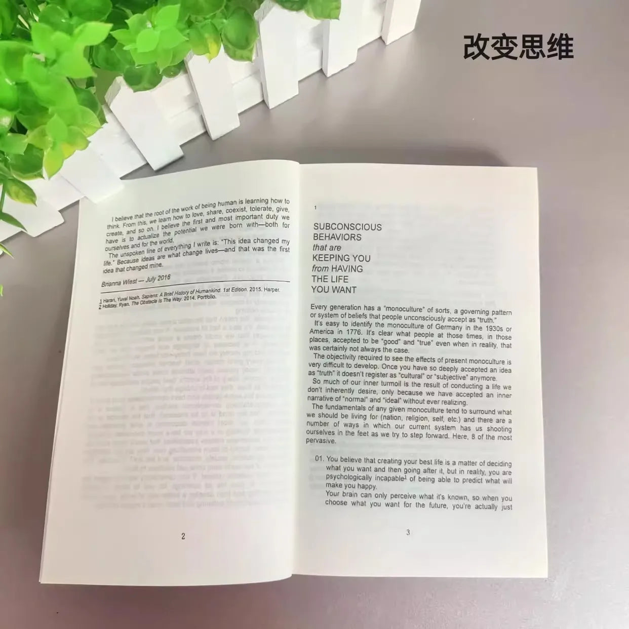 101 Essays That Will Change the Way You Think – Paperback English Book