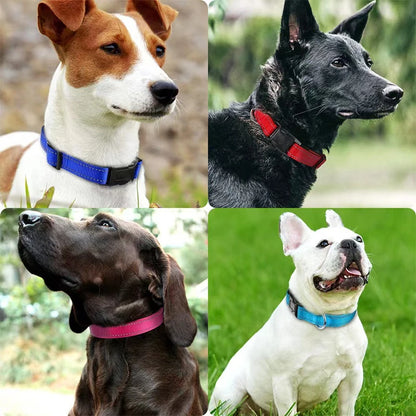 Reflective Adjustable Dog Collar for Medium & Large Dogs – Soft Neoprene Padded Durable Nylon Safety Pet Collar