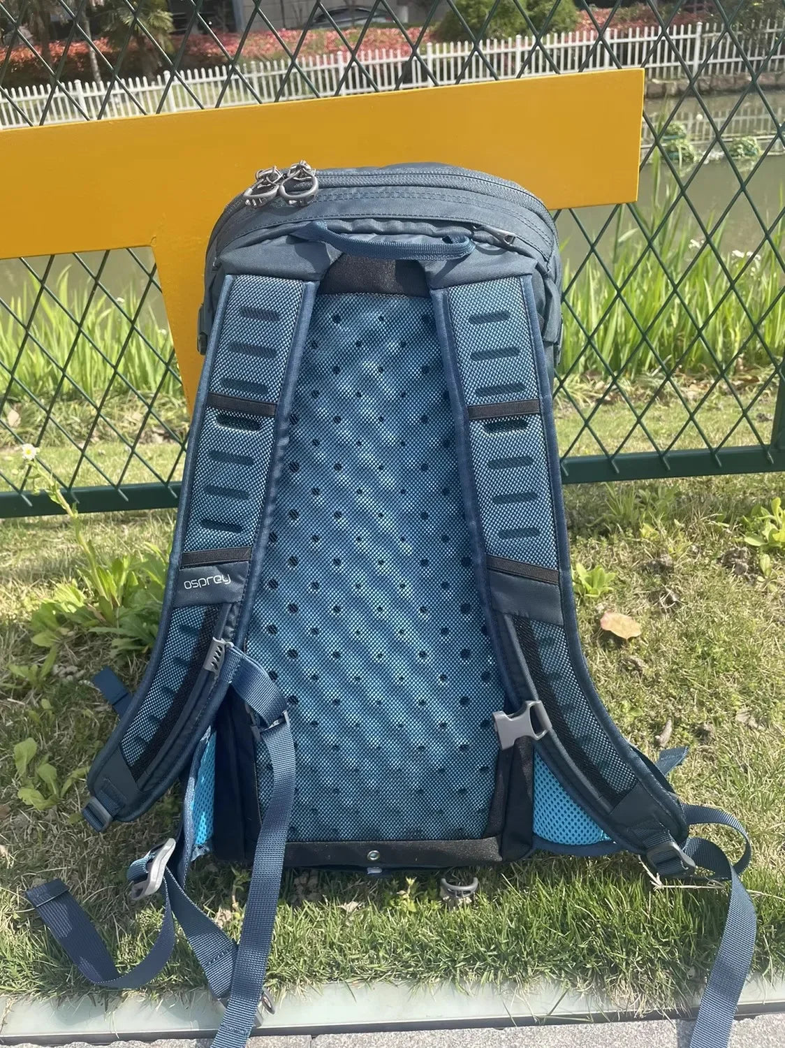 Osprey Professional Outdoor Backpack - Beetle Kitty 22L & 30L Hiking & Camping Bag for Men & Women, Waterproof