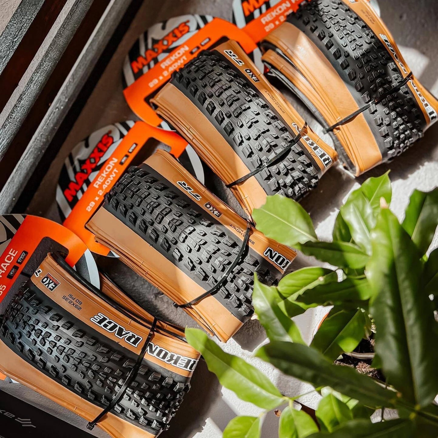 MAXXIS Rekon Race EXO TR Tubeless MTB Bike Tire – 29x2.25/2.35 Foldable Mountain Bicycle Tyre