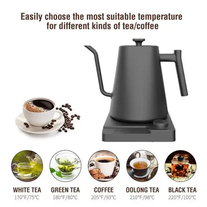 1200W Gooseneck Electric Kettle with Temperature Control - Coffee & Tea Brewing Pot (110V/220V)
