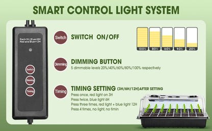 Seed Starter Kit with 40-Cell Trays — Includes 2 Long Strip Grow Lights & Humidity Dome for Seedlings