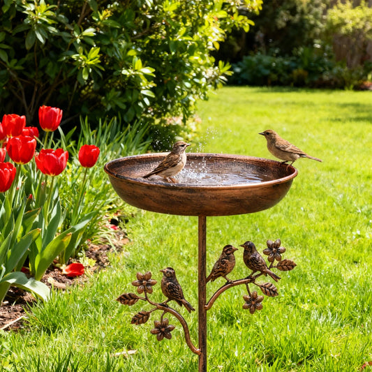 Vintage Iron Garden Bird Bath - Sturdy Standing Birdbath Bowl for Outdoor Patio, Yard & Garden