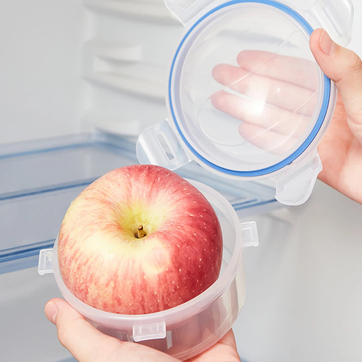 Fruit & Apple Preservation Box with Lid - Sealed Household Storage for Onion, Microwave Rice Heating Box