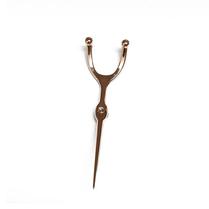 Stainless Steel Toothpick & Dental Floss Holder Set – Reusable Y-Shape Eco-Friendly Teeth Cleaning Tool