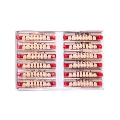 16/12 Set Dental Denture Teeth Model Kit, Upper & Lower Anterior Synthetic Polymer Teeth A2 A3 for Dental Education & Training