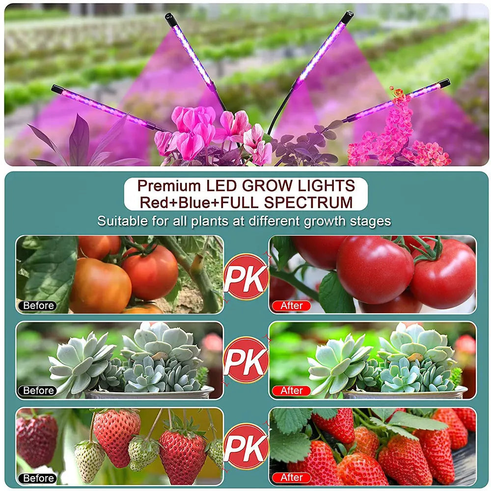USB Grow Light Phytolamp for Plants - 30-150 LED Full Spectrum Fitolamp with Control - Ideal for Home Flower Seedling, Clip-On Phyto Lamp