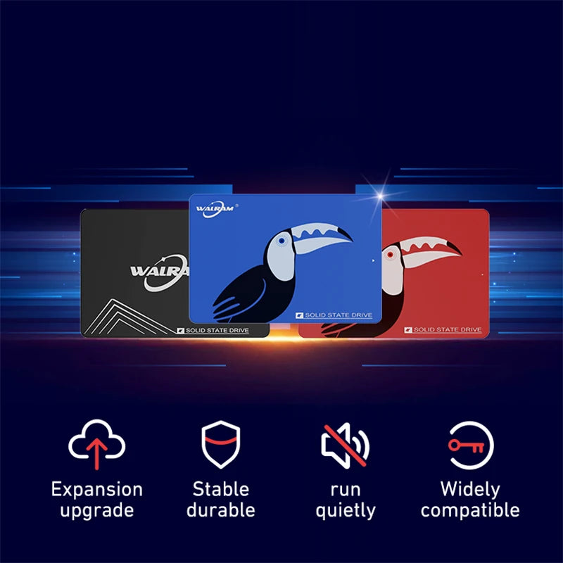 Walram SSD – 1TB, 512GB, 240GB, 256GB, 120GB, 480GB, 500GB SATA3 Solid State Drive for Desktop & Laptop