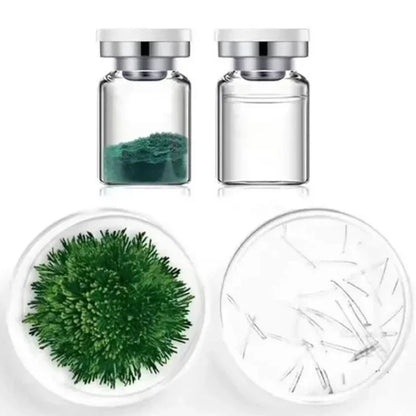 10pcs Sponge Microcrystal Freeze-Dried Collagen Powder — Natural Sponge Spicules for Skin Cell Renewal