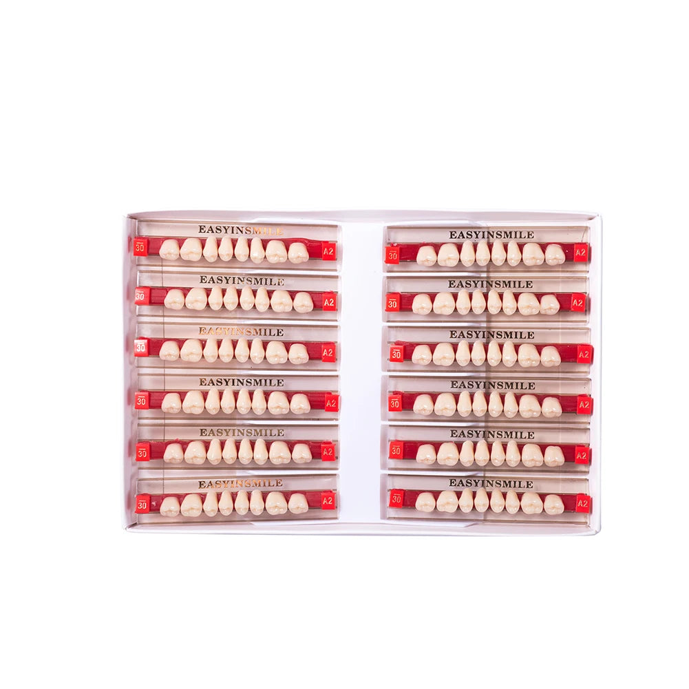 16/12 Set Dental Denture Teeth Model Kit, Upper & Lower Anterior Synthetic Polymer Teeth A2 A3 for Dental Education & Training