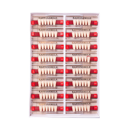 16/12 Set Dental Denture Teeth Model Kit, Upper & Lower Anterior Synthetic Polymer Teeth A2 A3 for Dental Education & Training