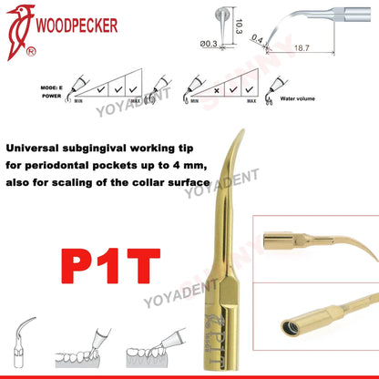 Woodpecker Dental Scaler Tips – Ultrasonic Tooth Cleaning, Endo & Perio Scaling Tips, Fit EMS UDS Scaler Handpiece