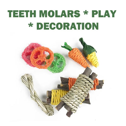 Fun Pet Rabbit Guinea Pig Dragon Cat Toy - Hamster Tooth Grinding Set for Healthy Pet Teeth - Enjoyable Pet Tooth Grinding Snacks